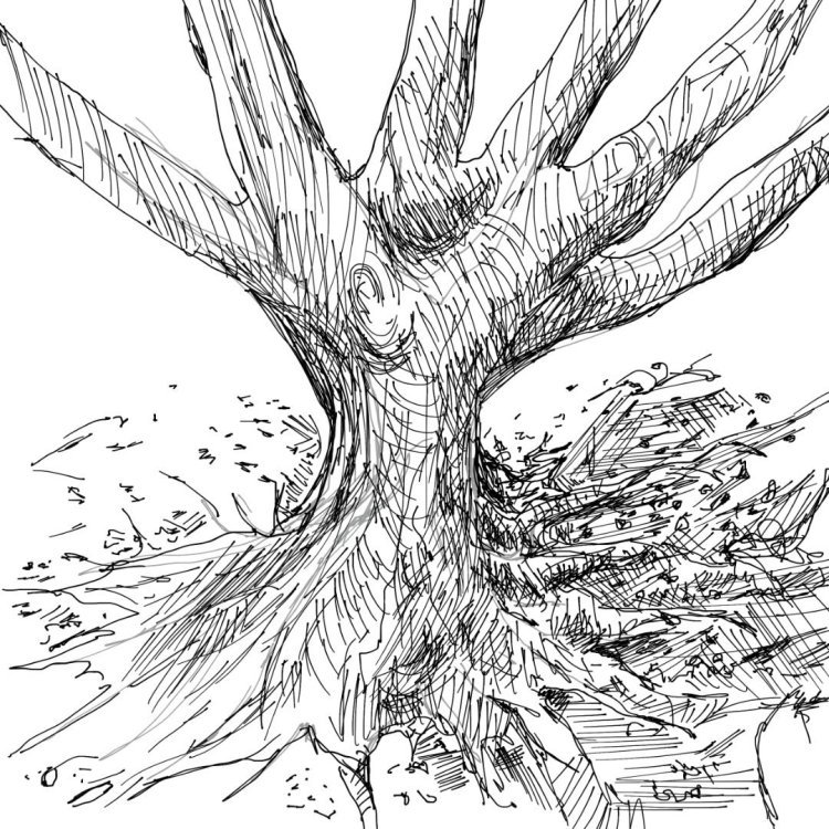 20230928_roots.jpg