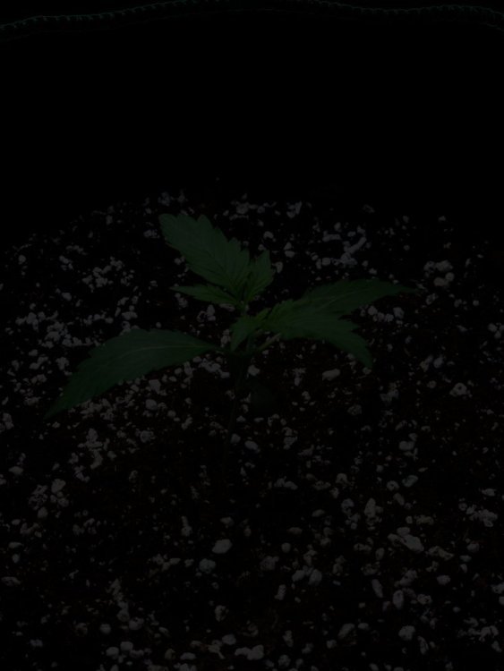 384553608_285150064336208_7491202744280114724_n.jpg