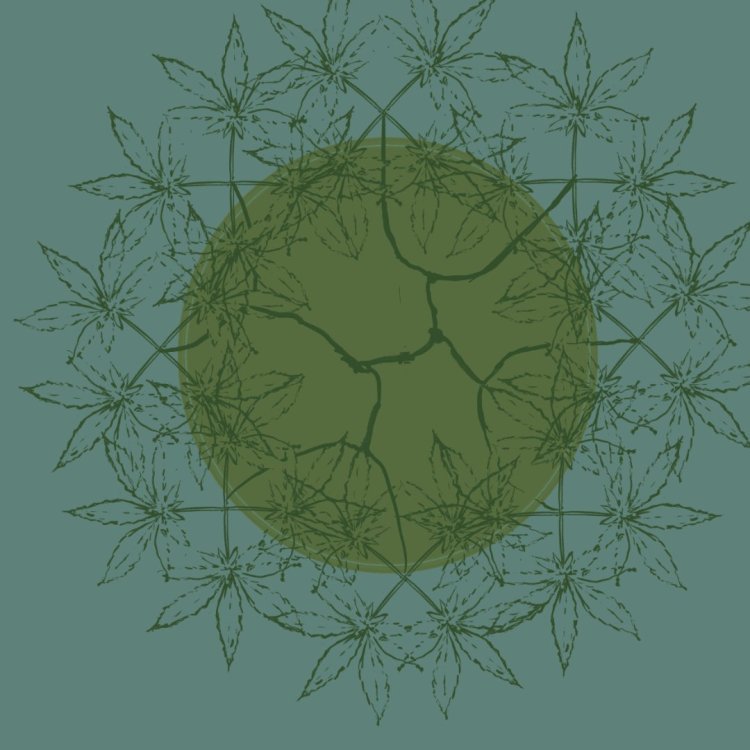 fractal game2.jpg