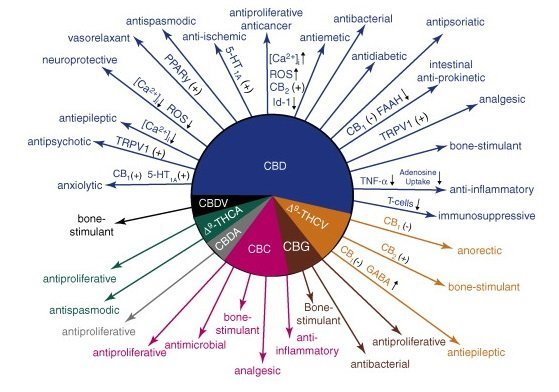 858128428_Proprietecannabisthccbd.jpg.6ec425411f6b6fcbe7621b9c9273c3aa.jpg