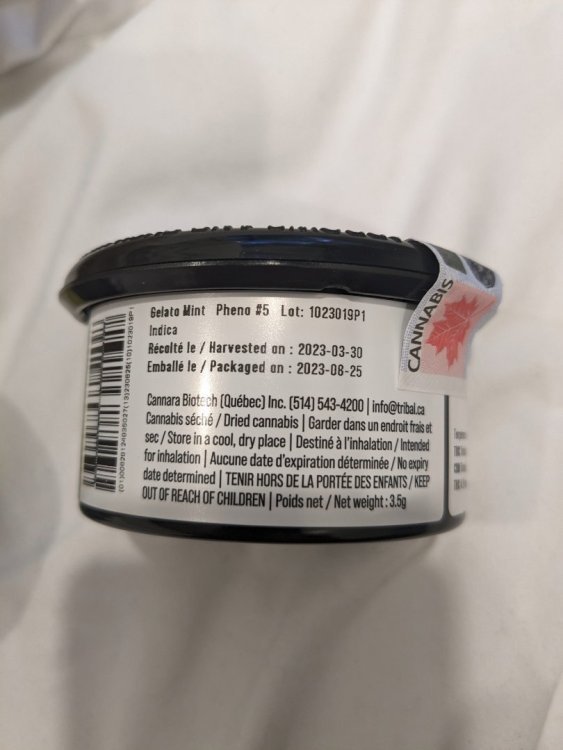 PXL_20230929_215735015.thumb.jpg.c7b34e008d94178d6d732551af7ba5b8.jpg