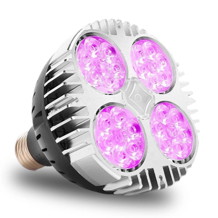 lamp.thumb.jpg.79880758a38d56b74390d58e9f16d0ca.jpg