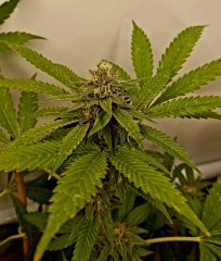 20231014_085121.jpg