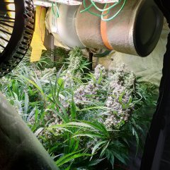 Compress_20231011_201025_5320.jpg