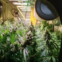 Compress_20231011_201030_0269.jpg