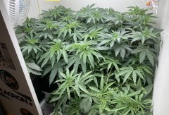 IMG_1726.jpeg