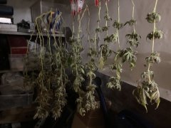 IMG_1748.jpeg
