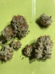 IMG_1833.jpeg