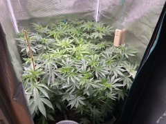 IMG_1836.jpeg