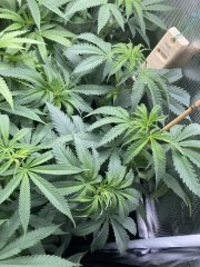 IMG_1849.jpeg