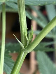 IMG_1902.jpeg