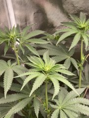 IMG_1913.jpeg