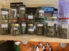 IMG_1929.jpeg