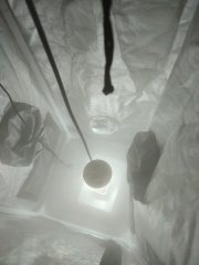 IMG_20220901_202136.jpg