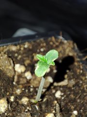 IMG_20220902_140236.jpg