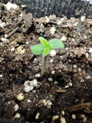 IMG_20220907_161854.jpg