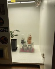 camphoto_1804928587.jpeg