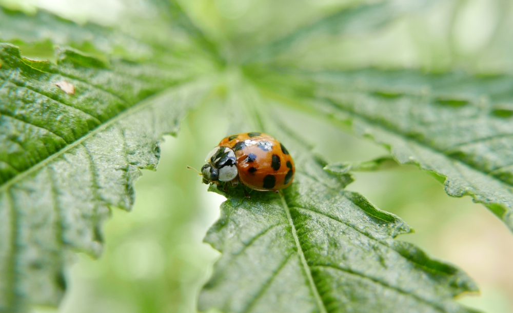 1642367934_Capturedecran2023-11-15a21_37_39.thumb.png.bddd274a320572340773eb6d9f010a73.png