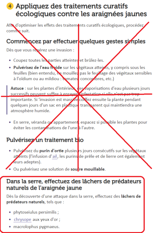2010843182_araigneeacarienjauneplanteverte.thumb.png.2f3c076b17496d1343239d40914fceed.png