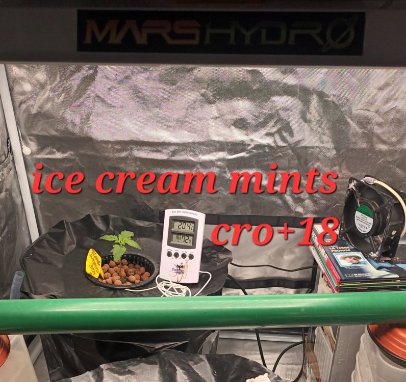 20231118_150824.thumb.jpg.576f4af534a97ff24939e350b2aec7f2.jpg