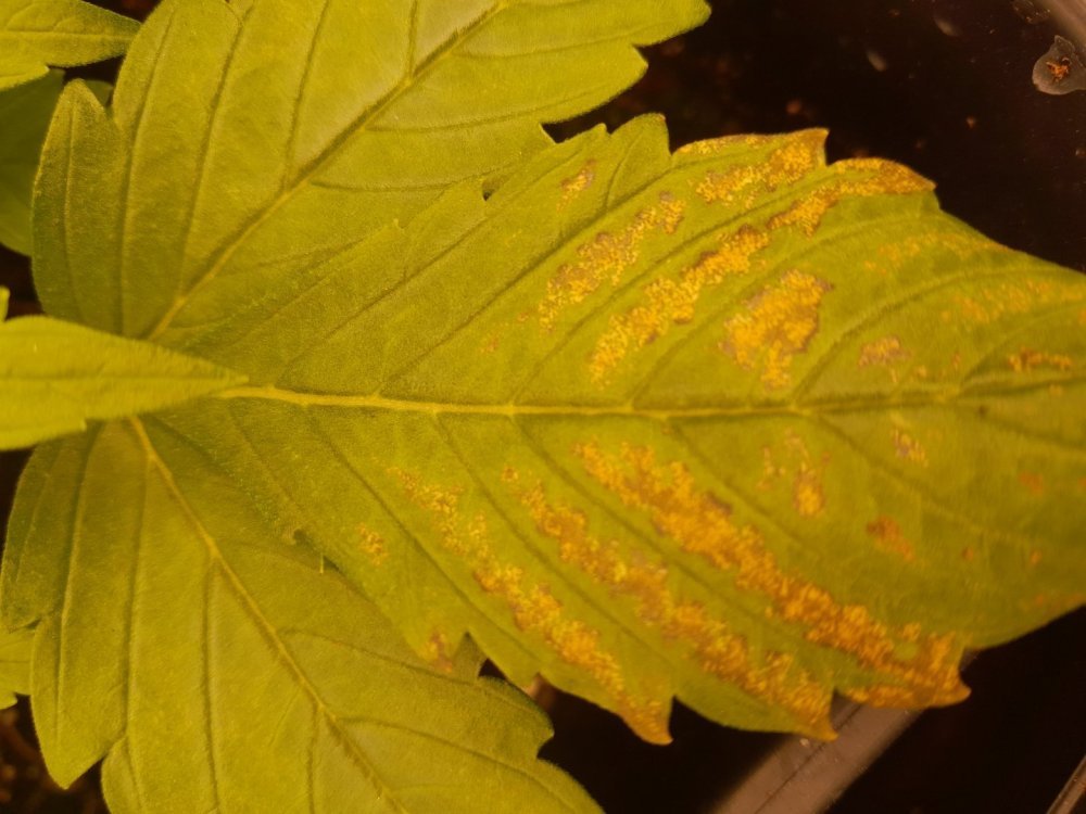 20231121_184939.jpg