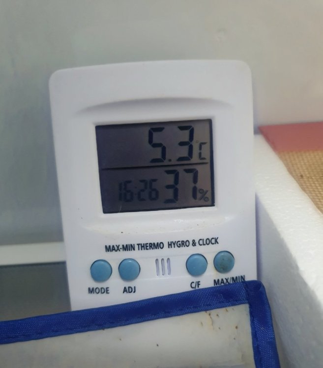 20231129_152355.thumb.jpg.f0c903a9877855365f1902e3167f8e49.jpg