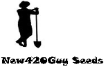 308908837_461323586019306_5747602149146007577_n-1.png
