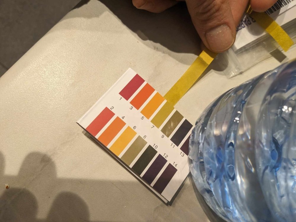 396639022_1061990594845406_1928622859643574172_n.jpg