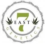 7east genetics