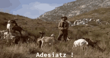 adesiatz-adisiatz.gif.f554a4367a3f3add86be671bda6ccf58.gif