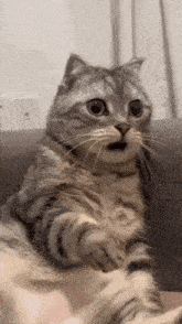 shocked-surprised.gif.21eab68040bc944ac473bd2fc72c6326.gif