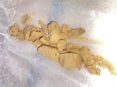 Session Bubble Hash 1 partie 2 -1