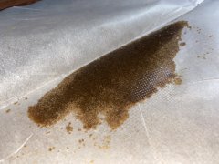 Session Bubble Hash 1 6