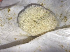 Bubble Hash Session 2 (160 microns) 2.1.jpg