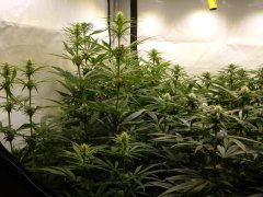 12/12 +20, la Malawi au premier plan à gauche