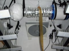 Au plafond