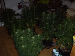 12/12 +20, l'équipe avant le retour aux vestiaires