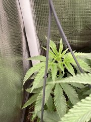 IMG_1999.jpeg