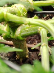 IMG_20221013_005517.jpg
