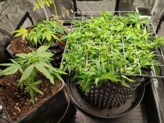 IMG_20221129_150102.jpg