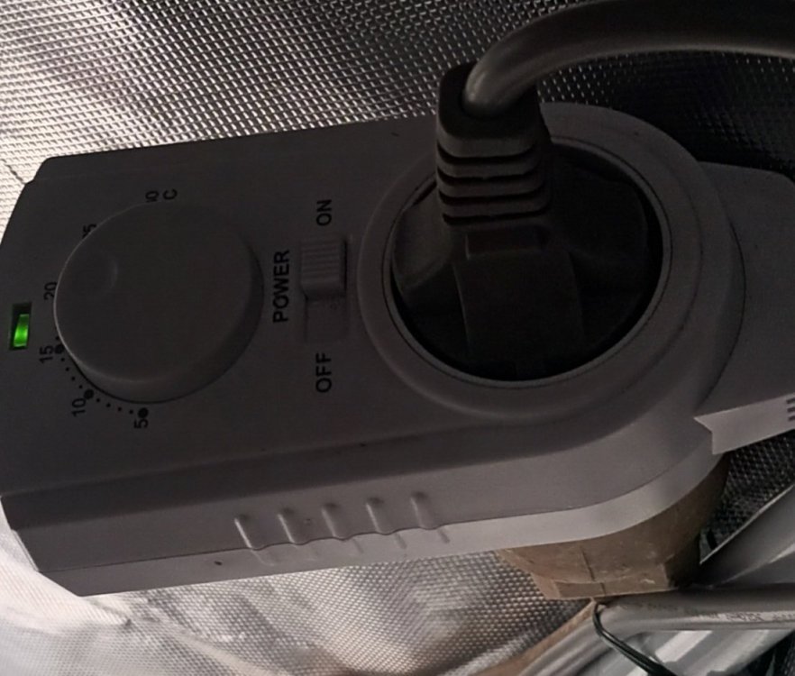 20231203_181731.thumb.jpg.9a1e240e57f9a71ee00e4793129169b8.jpg