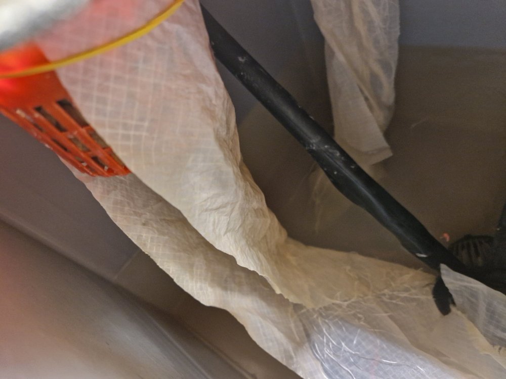 20231229_114925.thumb.jpg.52c1d4bea6d33e50bae917a4d625fe39.jpg
