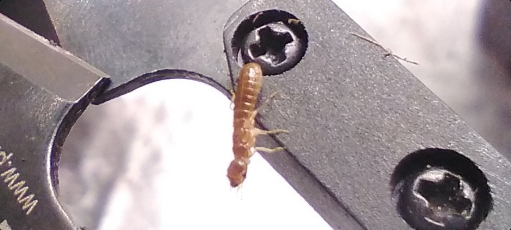 Screenshot_20231221-220128_Gallery.thumb.jpg.01fac7d3f2d81e56bce86574efda998f.jpg