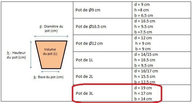 guide-tailles-pots-tijardin.jpg.bc106d90dc7a1143cdaa8ad960ea0c1f.jpg