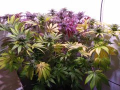 IMG_20231214_105740.jpg