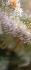 IMG_20231227_105611.jpg