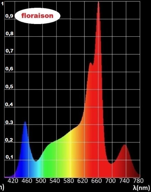 1024578801_spectreIsledV5CetV6.1PFbis.thumb.jpg.bde93dd4f73d61d5eedd4e92dfe010b9.jpg.a59d326db07c34530f488ec0d952c1ed.jpg