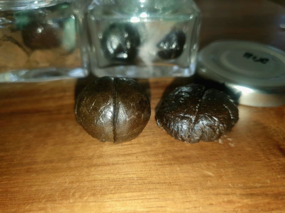 12.thumb.jpg.8eb860ca03e67aed8ff9c140330c1fd0.jpg