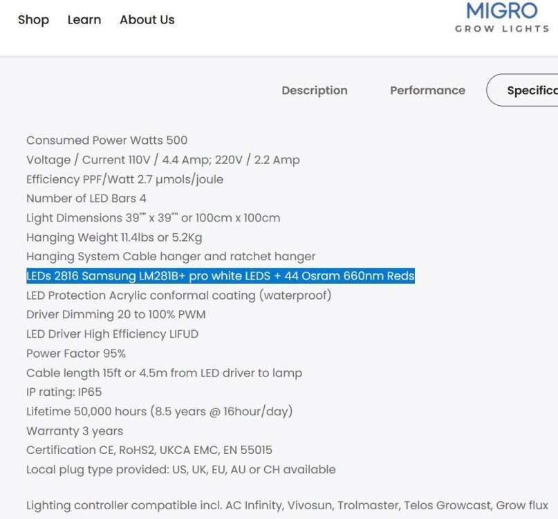 migro 4.jpg