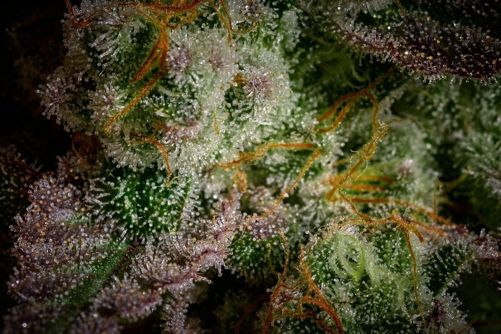 WC (4).jpg